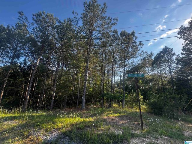 0 MALLARD POINT, Warrior, AL 35180