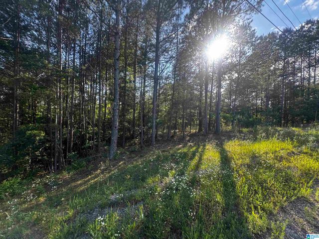 0 MALLARD POINT, Warrior, AL 35180