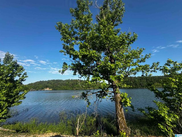 0 MALLARD POINT, Warrior, AL 35180