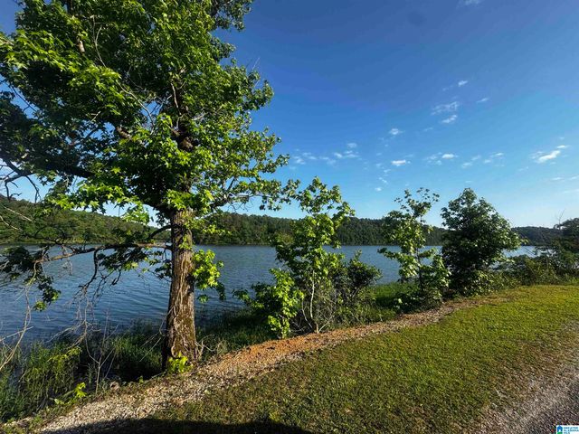 0 MALLARD POINT, Warrior, AL 35180