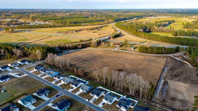 4.4 Acs Night Owl Ln., Conway, SC 29527