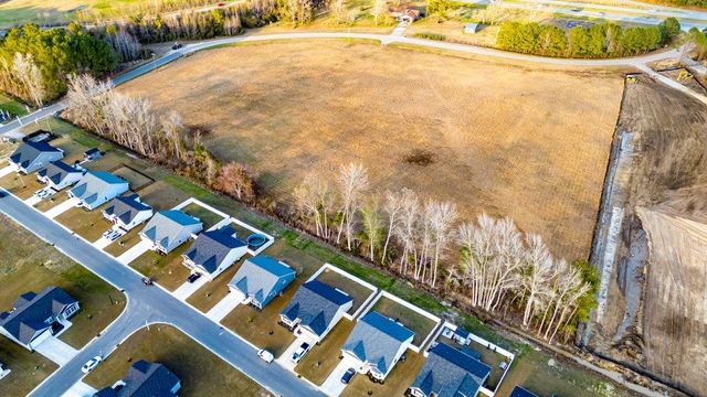 4.4 Acs Night Owl Ln., Conway, SC 29527