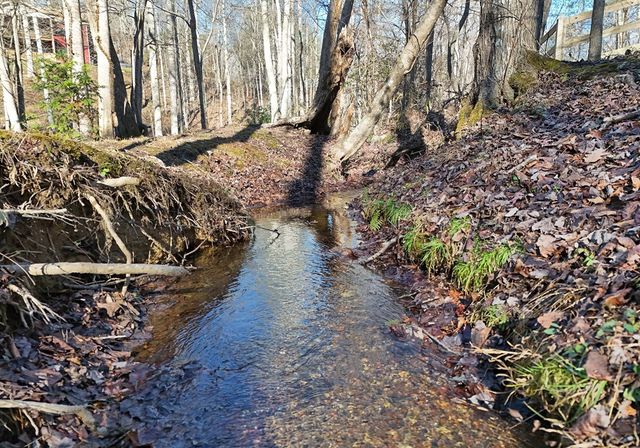 154 Hollyanne Pond, Hayesville, NC 28904