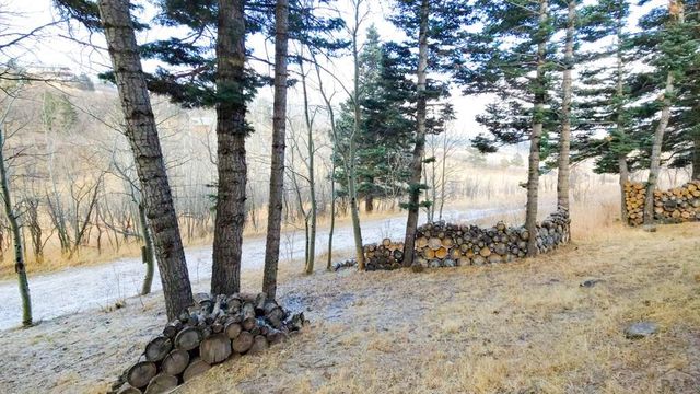 23672 Locust Dr, Aguilar, CO 81020