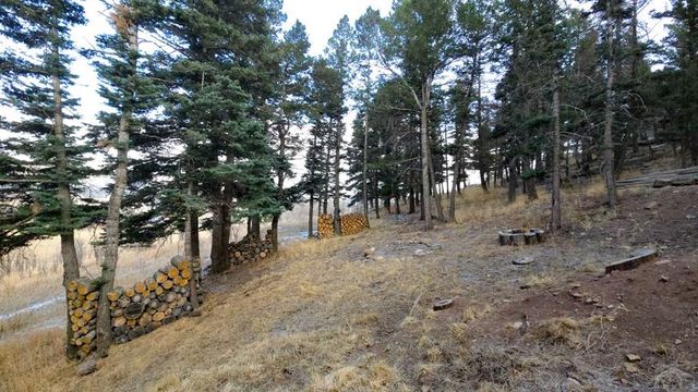 23672 Locust Dr, Aguilar, CO 81020