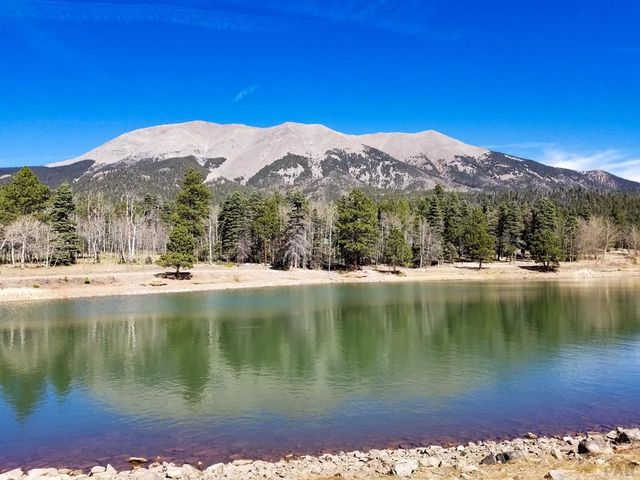 23672 Locust Dr, Aguilar, CO 81020