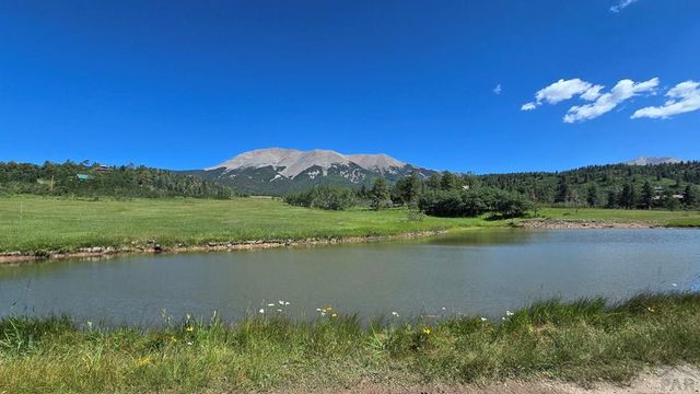 23672 Locust Dr, Aguilar, CO 81020