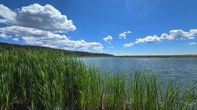 23672 Locust Dr, Aguilar, CO 81020