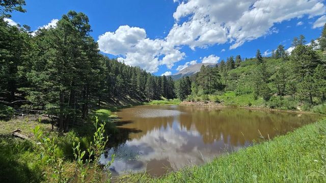 23672 Locust Dr, Aguilar, CO 81020