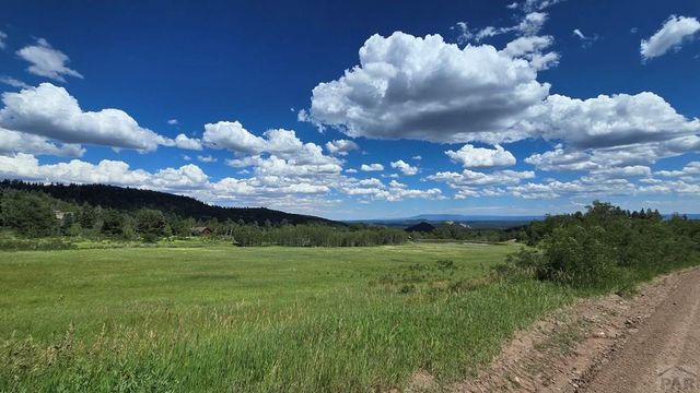 23672 Locust Dr, Aguilar, CO 81020