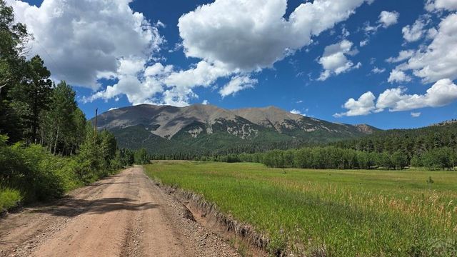 23672 Locust Dr, Aguilar, CO 81020