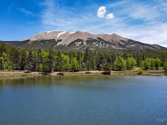 23672 Locust Dr, Aguilar, CO 81020