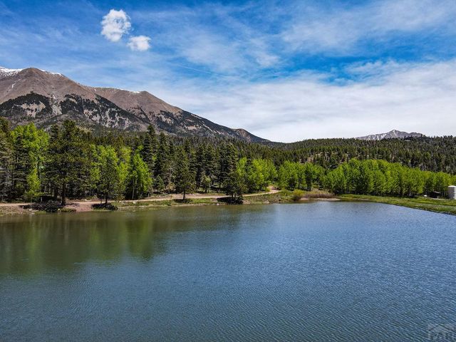 23672 Locust Dr, Aguilar, CO 81020