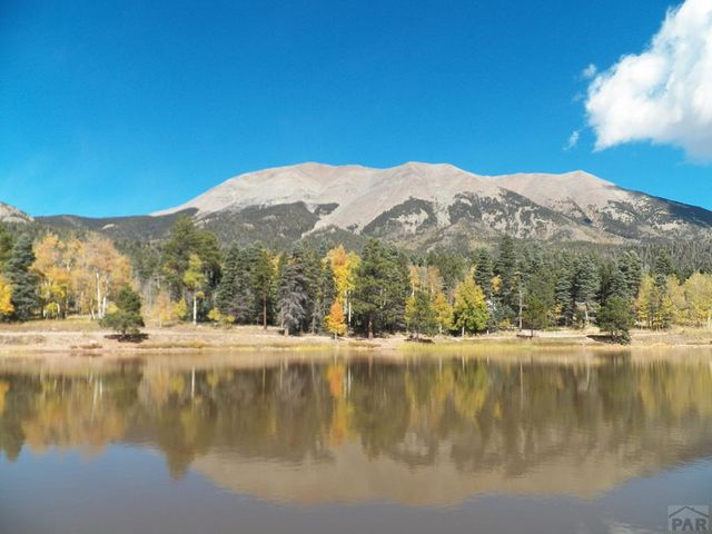 23672 Locust Dr, Aguilar, CO 81020