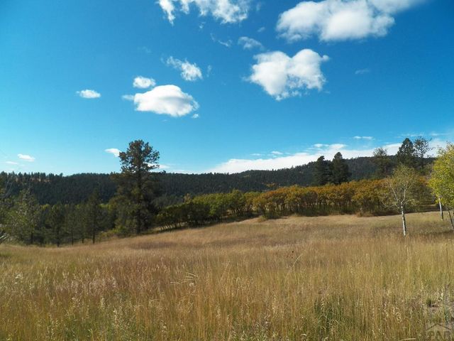 23672 Locust Dr, Aguilar, CO 81020