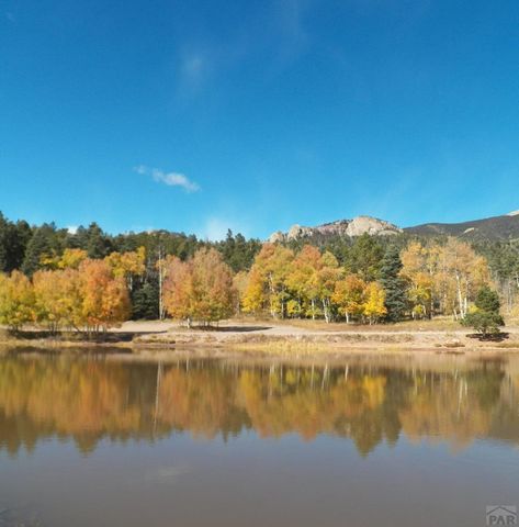 23672 Locust Dr, Aguilar, CO 81020