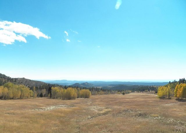 23672 Locust Dr, Aguilar, CO 81020