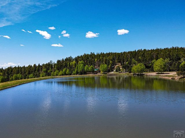 23672 Locust Dr, Aguilar, CO 81020