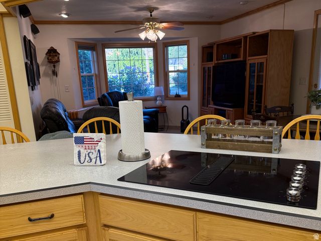 560 N 500 E, Brigham City, UT 84302