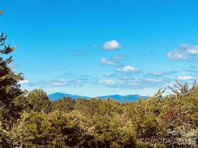 138 Woods End Road, Rutherfordton, NC 28139