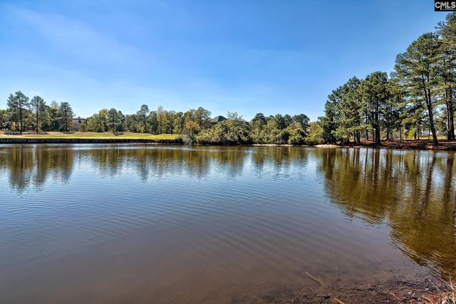 332 Compass Trail, Blythewood, SC 29016