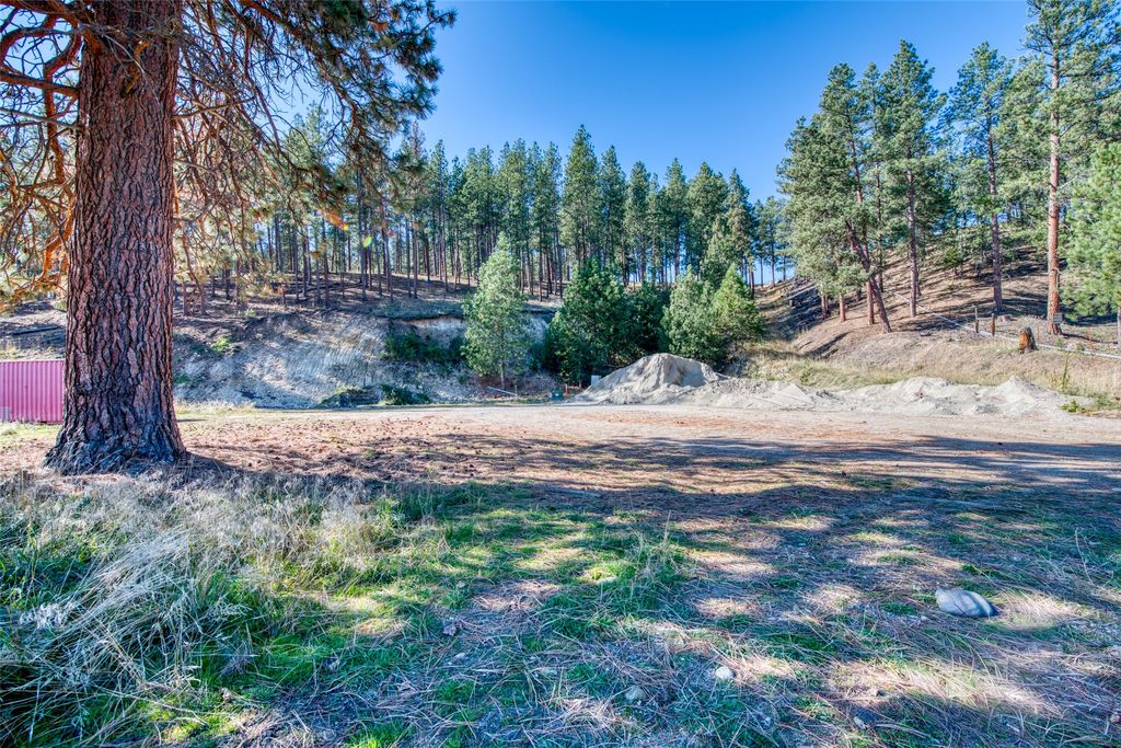 Lot 40 Darby Estates, Darby, MT 59829 photo 3