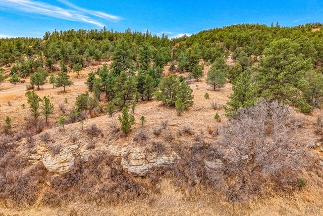 13016 Cielo Grande Rd, Weston, CO 81091