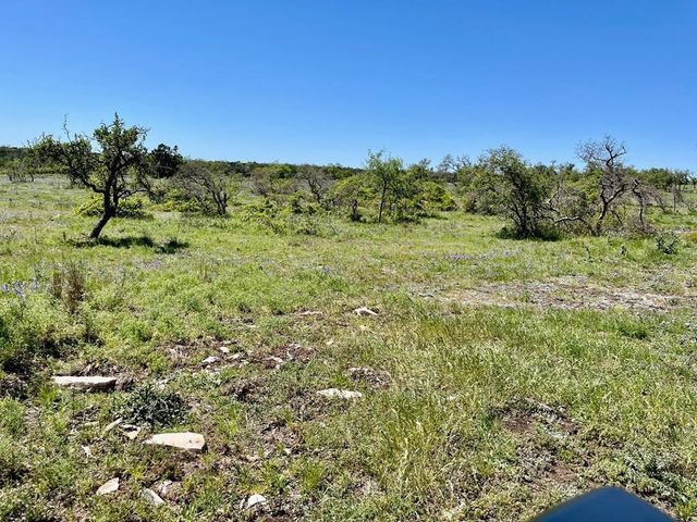 Lot 4 Jung Rd, Harper, TX 78631