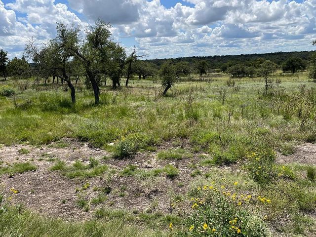 Lot 4 Jung Rd, Harper, TX 78631