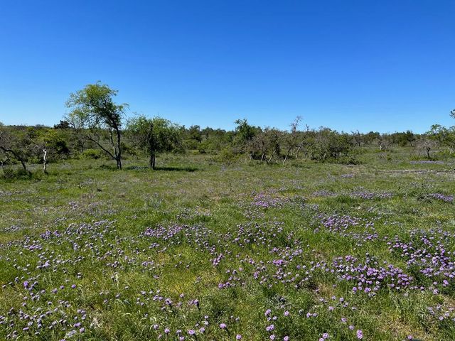 Lot 4 Jung Rd, Harper, TX 78631