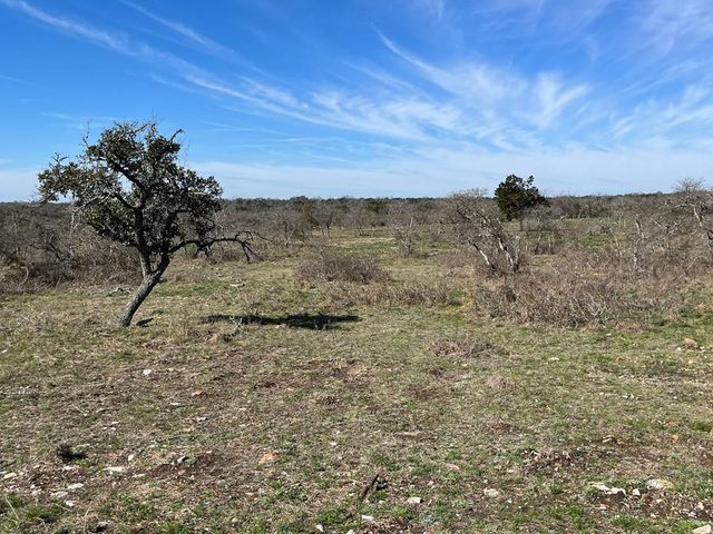 Lot 4 Jung Rd, Harper, TX 78631