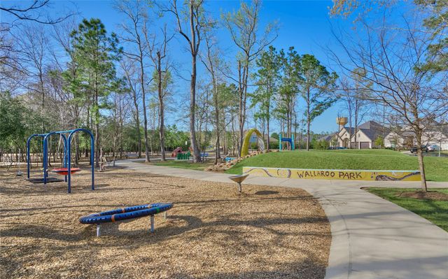 122 Grinnell Trail, Montgomery, TX 77316