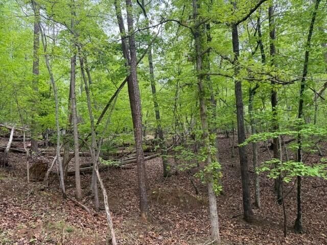 Lot 44 Chestnut DR, Hardy, VA 24101