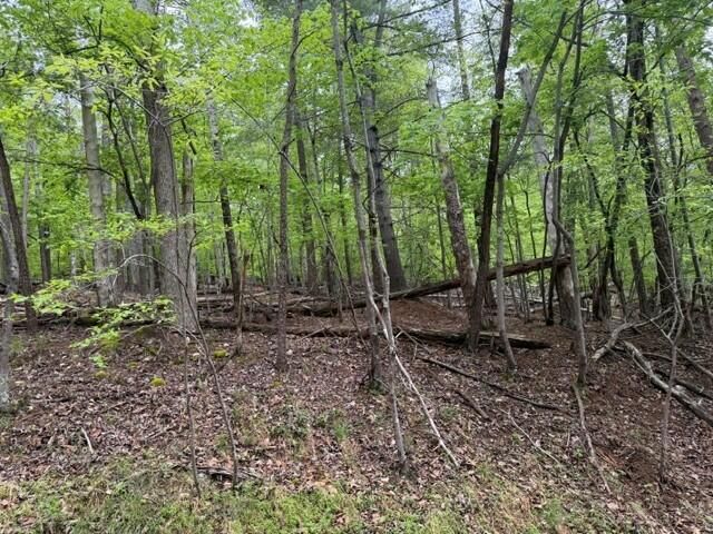 Lot 44 Chestnut DR, Hardy, VA 24101