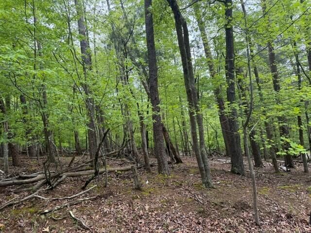 Lot 44 Chestnut DR, Hardy, VA 24101