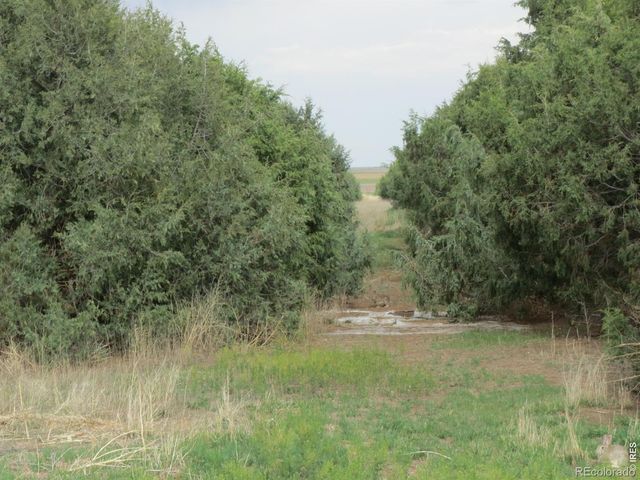 31056 County Road 47, Akron, CO 80720