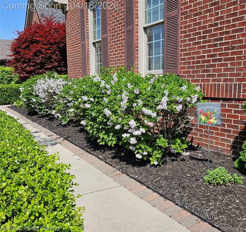 30304 Sterling Drive, Novi, MI 48377