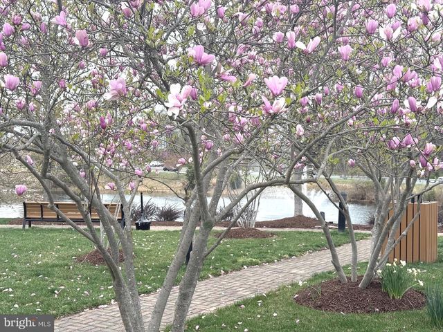 19410 FRONT ST, Leesburg, VA 20176