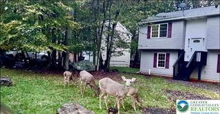 8440 Bear Trail Drive, Coolbaugh Twp, PA 18466