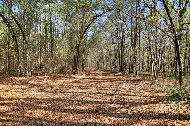 1223 Benton Road, Summerton, SC 29148