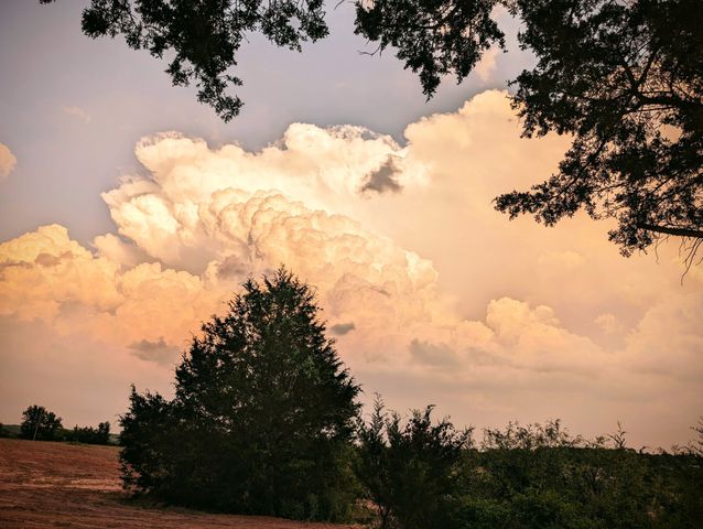 268 Private Road 3427, Bridgeport, TX 76426