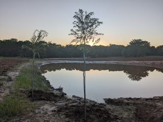 268 Private Road 3427, Bridgeport, TX 76426