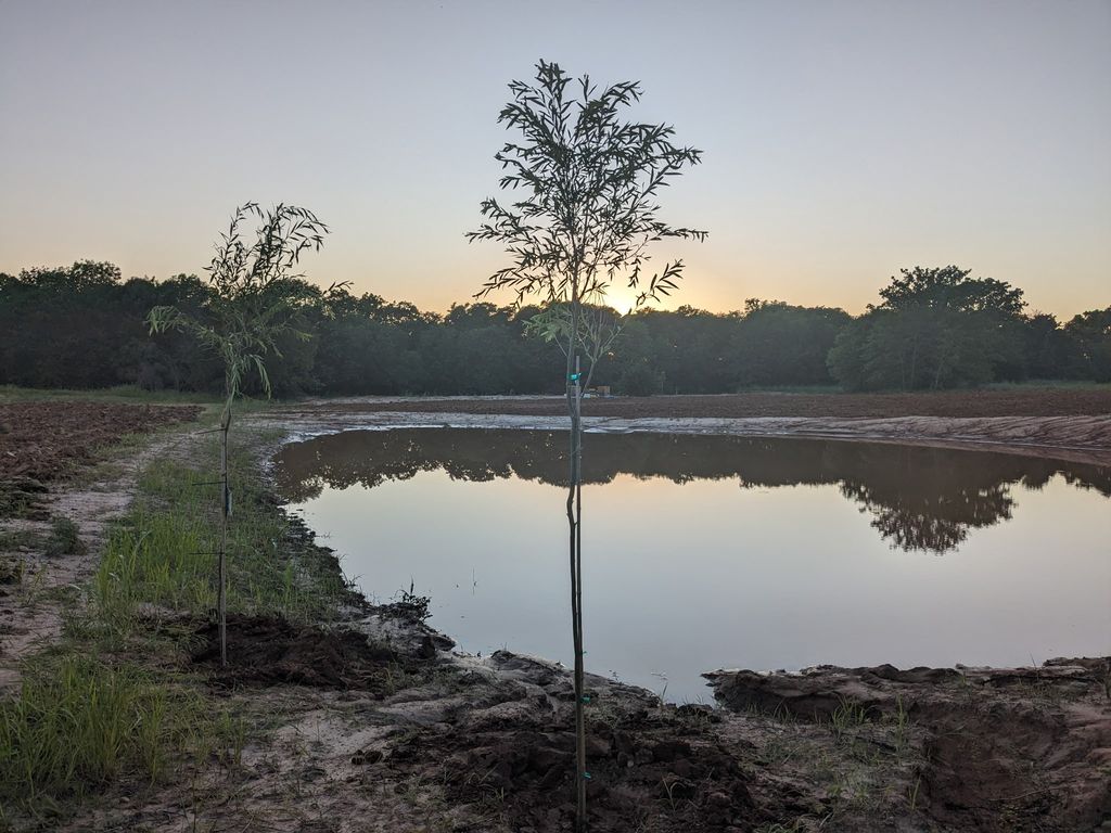 268 Private Road 3427, Bridgeport, TX 76426