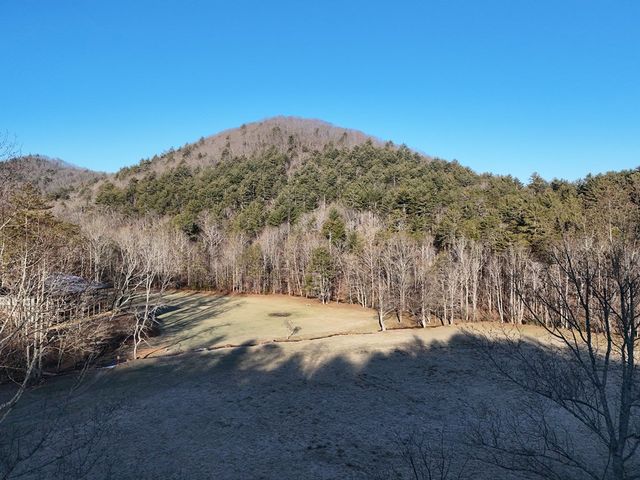 Lot 2 Papas Mountain Road, Blairsville, GA 30512