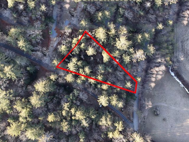 Lot 2 Papas Mountain Road, Blairsville, GA 30512
