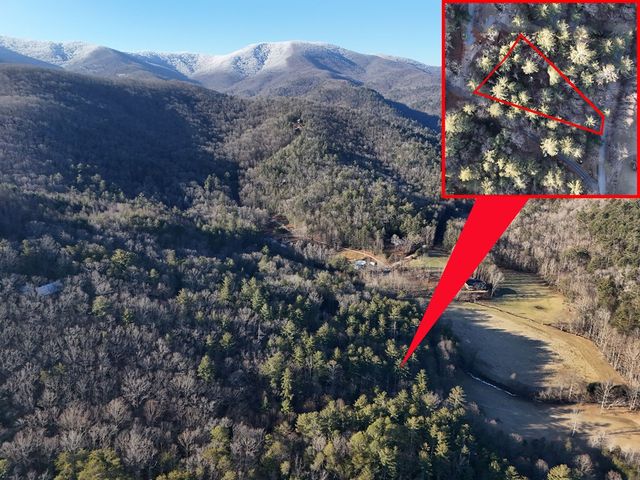 Lot 2 Papas Mountain Road, Blairsville, GA 30512
