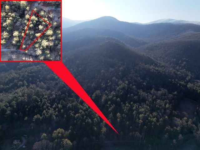 Lot 2 Papas Mountain Road, Blairsville, GA 30512