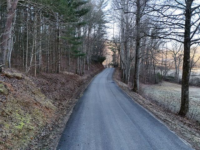 Lot 2 Papas Mountain Road, Blairsville, GA 30512
