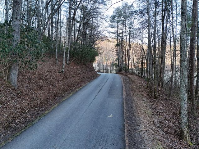 Lot 2 Papas Mountain Road, Blairsville, GA 30512