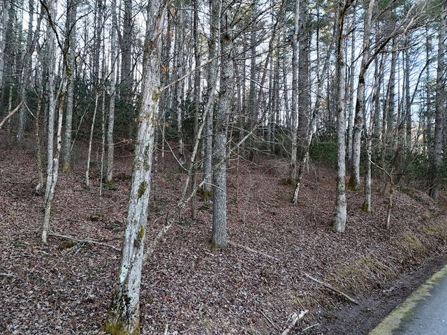 Lot 2 Papas Mountain Road, Blairsville, GA 30512